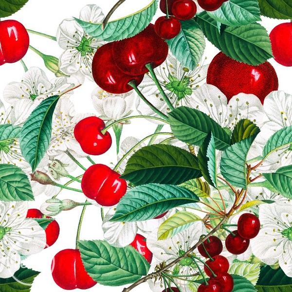 BIO ÚPLET - sweet cherries white